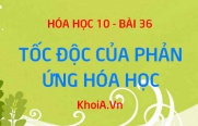 Tốc độ phản ứng hóa học là gì? Các yếu tố ảnh hưởng...